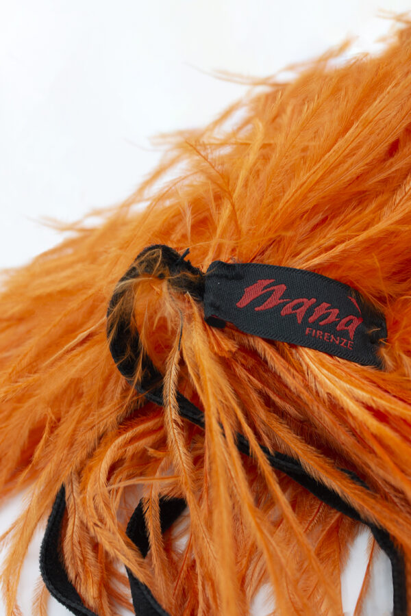Feathers orange